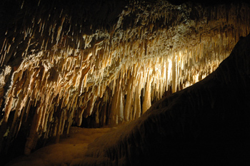 jenolan6