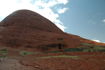 olgas