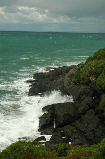 bluff NZ