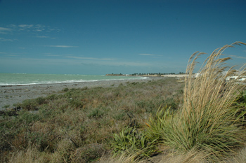 timaru beach